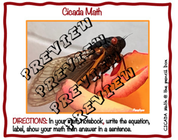 Preview of Cicada Math