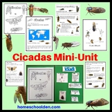 Cicada Mini-Unit