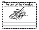 Cicada Response Sheet