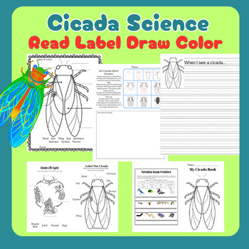 Preview of Cicada Science Writing Drawing Coloring Label Cicada Mini Book Insect Bugs