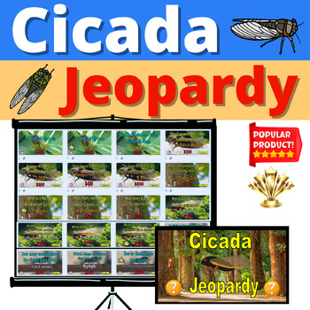 Preview of Cicada Trivia Jeopardy Activity Cicadas Insect Bug Resource
