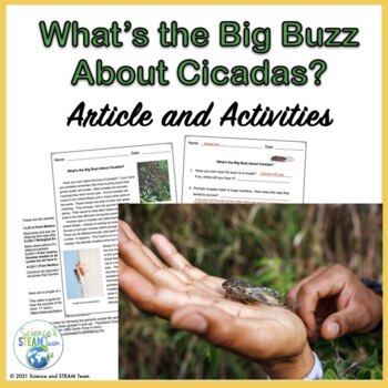 Preview of Cicada's Life Cycle Nonfiction Article and Simple STEM Challenge