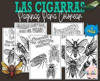 Preview of Cicadas Coloring Pages - las cigarras páginas para colorear - Cicada Actividades