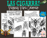 Cicadas Coloring Pages - las cigarras páginas para colorea