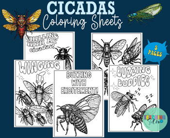 Preview of Cicadas Coloring Sheets - Cicada insects bugs Coloring Pages ,no prep activity