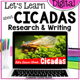 Cicadas Digital Research and Writing | Summer Activities