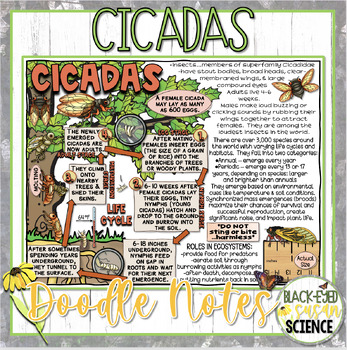 Preview of Cicadas Doodle Notes & Quizzes (PDF and Google Form quiz versions)