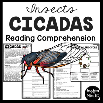 Details about   Cicada Life Cycle Wild Animal Solid Bug Growth Cycle Teaching 