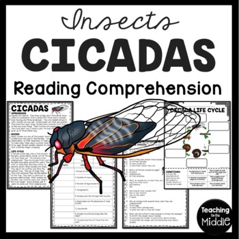 Preview of Cicadas Informational Text Reading Comprehension Worksheet Insects Summer