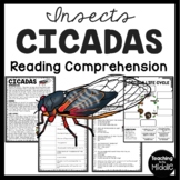 Cicadas Informational Text Reading Comprehension Worksheet