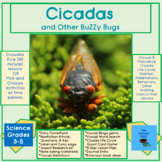 Cicadas & Other BuZZy Bugs