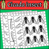 Cicada Insects Coloring Pages,Coloring Activities