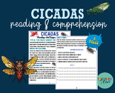 Cicadas insects comprehensive reading- Cicada Emergence re