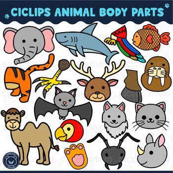 paws and claws clipart fish