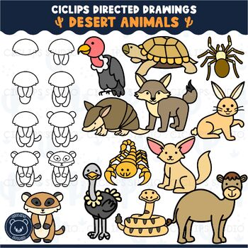 How to Draw basic desert animals « Drawing & Illustration :: WonderHowTo