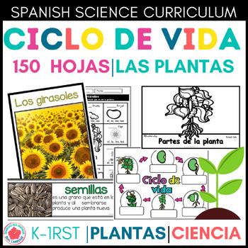 El Ciclo De Vida De Las Plantas Teaching Resources | TPT