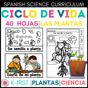 Preview of Ciclo de Vida de las plantas Plant life cycle in Spanish