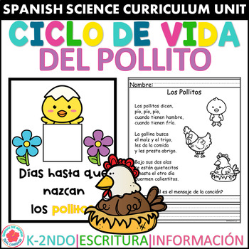 Preview of Ciclo de Vida de pollitos gallina gallo Hen life cycle in Spanish
