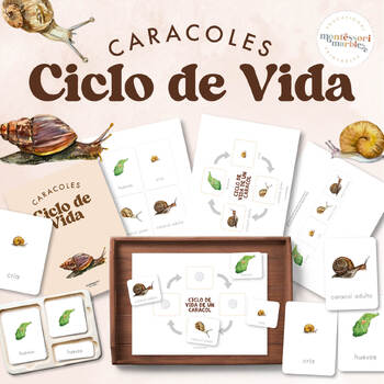 Preview of Ciclo de Vida de un Caracol | Life Cycle of a Snail | Spanish Materials