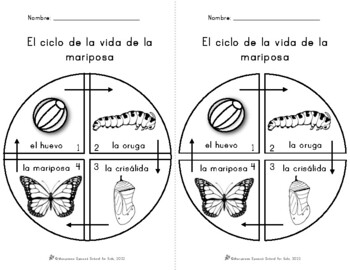 Preview of Ciclo de la Mariposa Worksheets | Butterfly Lifecycle (Spanish) PK-Elementary