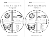 Ciclo de la Mariposa Worksheets | Butterfly Lifecycle (Spa