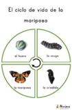 Ciclo de la Mariposas POSTER/PUZZLE | Butterfly Lifecycle 