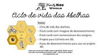 Preview of Ciclo de vida das abelhas (Bee life cycle in portuguese)