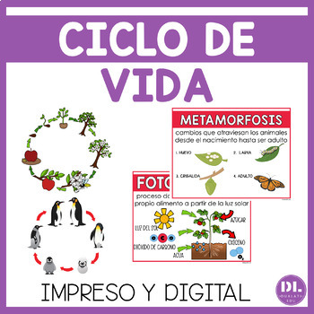 O ciclo de vida de uma planta com flores (Teacher-Made)