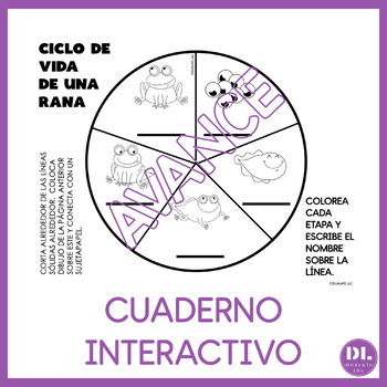 O ciclo de vida de uma planta com flores (Teacher-Made)