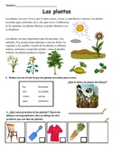 Ciencias - variety of science activities and stories in spanish