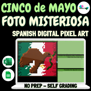Preview of Cinco de Mayo Mystery Picture Digital Resource | Self Grading | No Prep