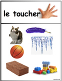 Cinq Sens (French Senses Activity)