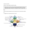 Circadian Clock Activity