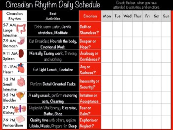 Preview of Circadian Rhythm Daily Schedule