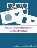 Circles Practice Activity