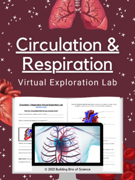 Preview of Circulation & Respiration Virtual Exploration Lab