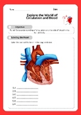 Circulation and the Blood Activity Sheet with Answer Key