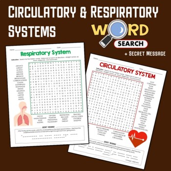 Preview of Circulatory & Respiratory System Word Search Station Activity Review Worksheets