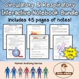 Circulatory and Respiratory Systems Interactive Notebook Bundle