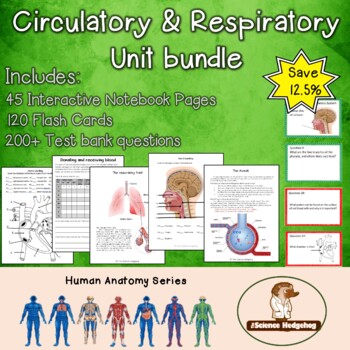 Preview of Circulatory and Respiratory Systems Unit Bundle