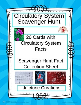 Preview of Distance Learning Circulatory Scavenger Hunt