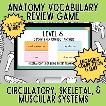 Preview of Circulatory, Skeletal, & Muscular Systems Vocab Activity- Anatomy Game