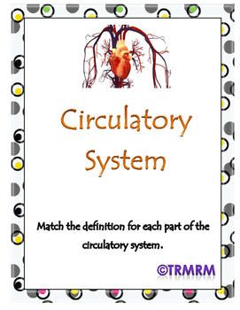 Preview of Circulatory System
