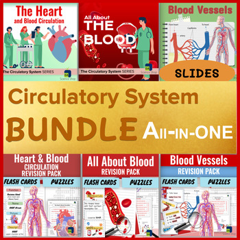 Preview of Circulatory System ALL-IN-ONE BUNDLE