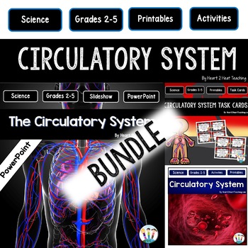 Preview of The Circulatory System Activities Bundle: Reading Passages Worksheets PowerPoint