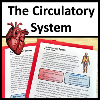 Preview of Circulatory System Activities - Human Systems - NGSS MS-LS1-3