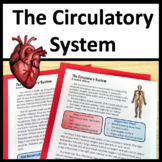 Circulatory System Activities - Human Systems - NGSS MS-LS1-3