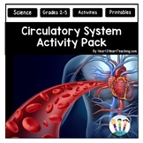Circulatory System Activities Vocabulary Posters Bulletin 