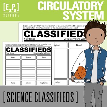 Preview of Circulatory System Activity | Classifieds Science Project