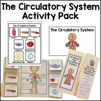 Preview of Circulatory System Activity Pack Bundle Human Body Activities Human Body Systems